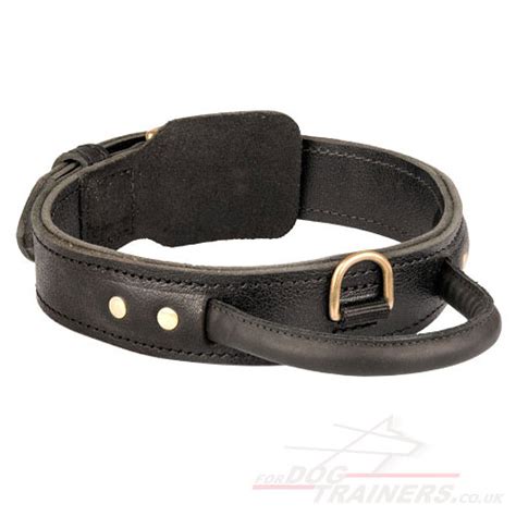 Staffordshire Bull Terrier Collars | Staffy Collars UK - £47.10