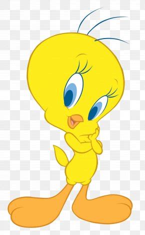 Tweety Bird Images, Tweety Bird Transparent PNG, Free download