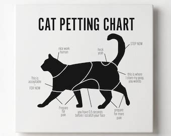 Cat Petting Chart - Etsy