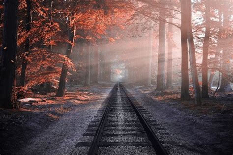 New on-board system allows trains to instantly detect 'leaves on the ...