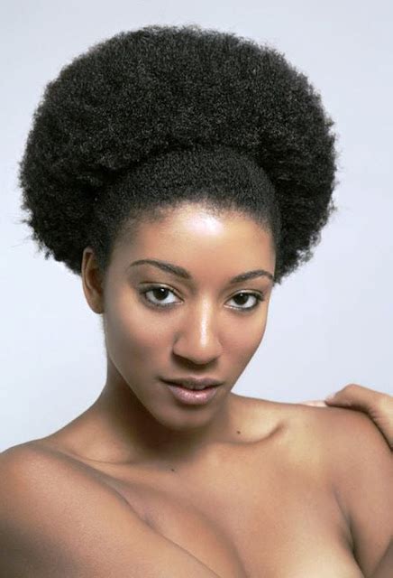 9 Beautiful Afro Hairstyles For Natural Hair ~ Black White Nation