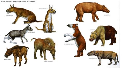 South American hoofed mammels,during the Miocene and Paleocene periods | Prehistoric wildlife ...