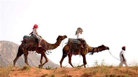 2 Nights 3 Days Camel Safari Pushkar