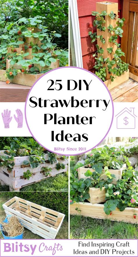 DIY Strawberry Planter: A Quick & Easy Guide