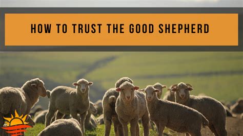 How to Trust the Good Shepherd - God's Way to Wellness