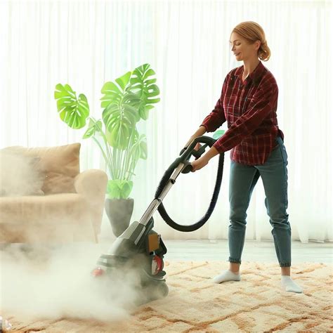 Chem Dry vs Steam Cleaning: Which Method is Best for Carpet Stains?