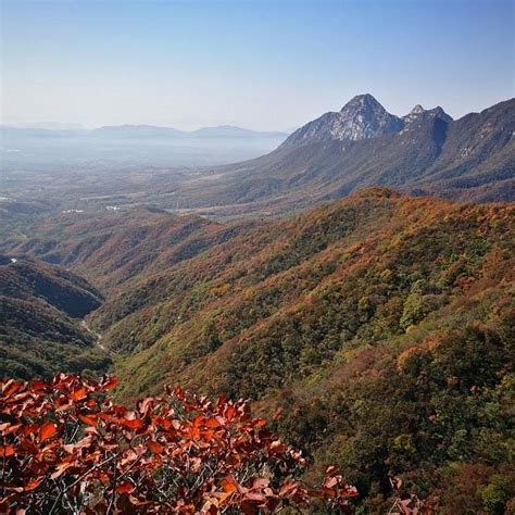 THE 15 BEST Things to Do in Henan - 2023 (with Photos) - Tripadvisor