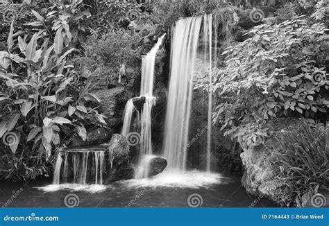 Black And White Waterfall Stock Photos - Image: 7164443