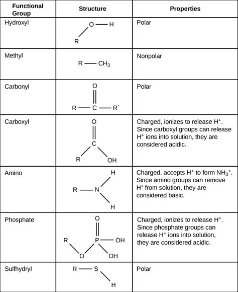 Carbon · Biology