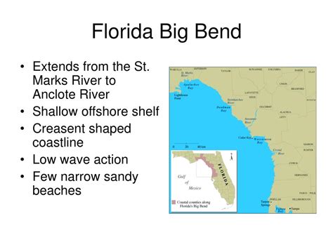 PPT - Florida by Fay, Liz, & Marcela PowerPoint Presentation - ID:663562