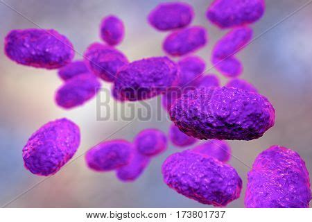 Bacteria Bordetella Image & Photo (Free Trial) | Bigstock