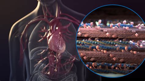 Medical Animation: PCSK9 LDL Cholesterol Regulation MOA | Medical Animation | Scientific ...