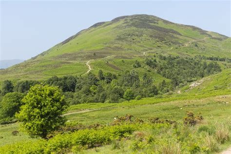 A path up a hill stock photo. Image of hiking, hill - 129658038