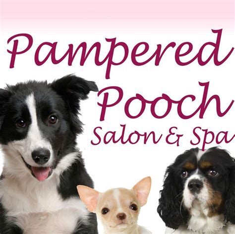 Pampered Pooch - Findlay, OH - Pet Supplies