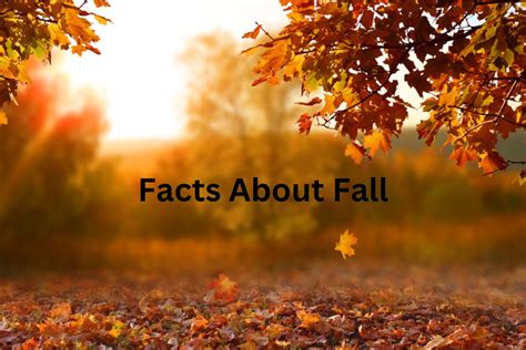 15 Facts About Fall - Have Fun With History