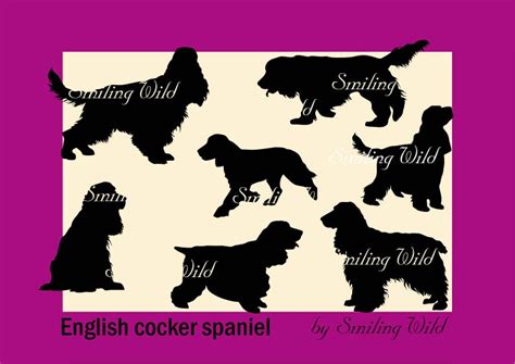 English Cocker Spaniel svg silhouette cut out cockerspaniel | Etsy