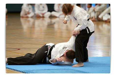 Joint locks in martial arts - MARTIAL ARTS TRAINING