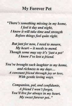 Short Prayer For Loss Of Pet / 24 Touching Pet Loss Poems To Find Comfort In Sympathy Card ...