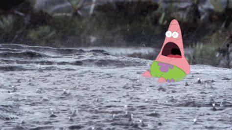 Rainy Weather | Surprised Patrick | Know Your Meme