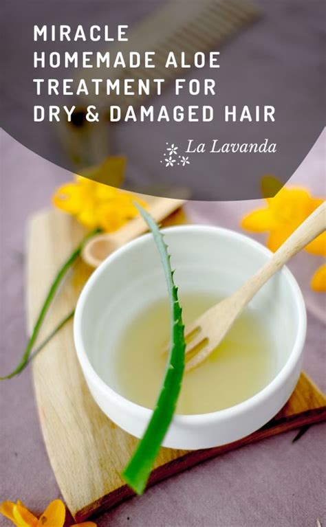 3 best homemade treatments with aloe for dry and damaged hair – La Lavanda - DIY cosmeti… in ...