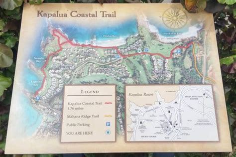 Kapalua Coastal Trail on Maui Hawaii (views!) 🌴 rugged shoreline ...