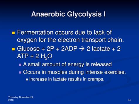 Cell Respiration Packet #12 Chapter 9 - ppt download