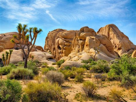 California Desert 2024: Best Places to Visit - Tripadvisor