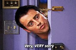 Sorry Joey Tribbiani GIF - Find & Share on GIPHY