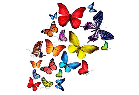 butterflies, Multicolored, Rainbow Wallpapers HD / Desktop and Mobile ...