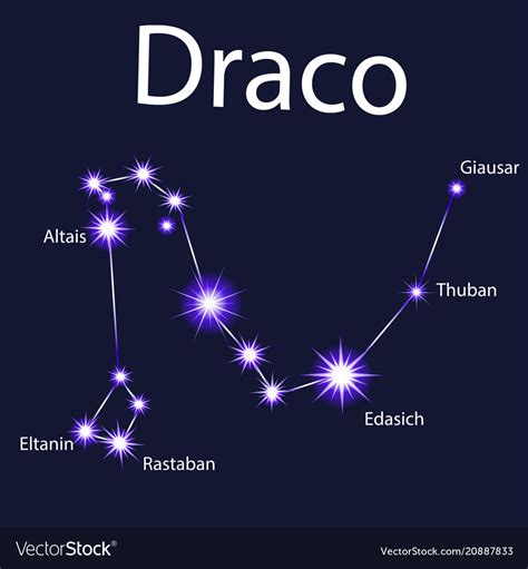 Constellation draco with stars in night Royalty Free Vector