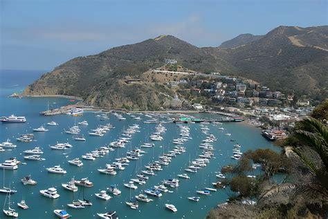 Catalina Island In February 2024 (Weather & Travel Info)