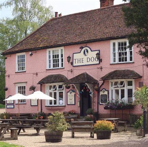 10 Best Dog-Friendly Pubs To Visit In the UK