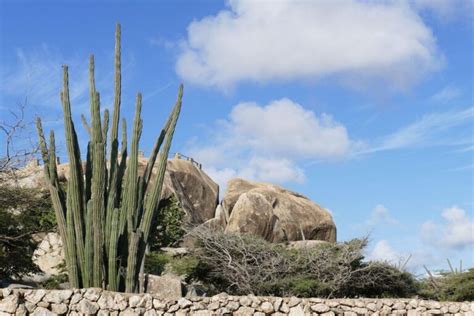 Hiking in Aruba | The 8 Best Trails to Explore the Aruba Landscape