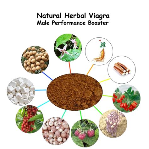 Nature Herbs Revitalizer Tea Bag For Male Enhancement, Prevent Erectile ...