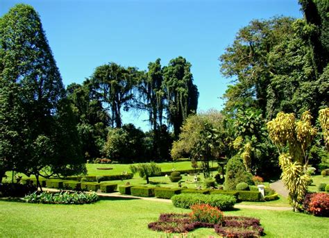 Select Sri Lanka: Royal Botanical Gardens, Peradeniya