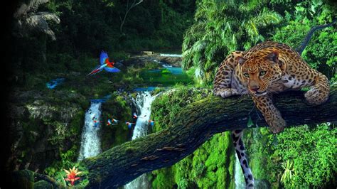 Download Tree Waterfall Colorful Colors Bird Leopard Tropical Forest Jungle Fantasy Animal HD ...