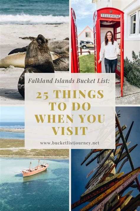 Falkland Islands Bucket List: 25 Things to Do When You Visit