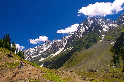 Sonmarg near Srinagar tourist places and tourism Information