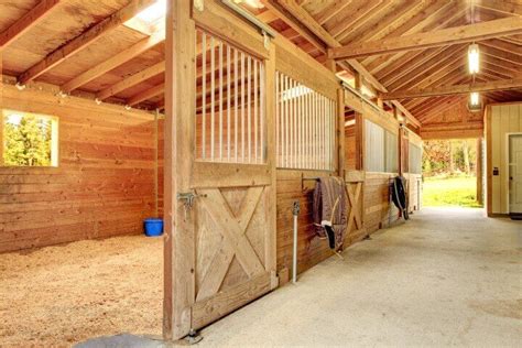 Stop “Horsing Around”: Stable Design and Ventilation Are Crucial For Your Horses | Action Sheds