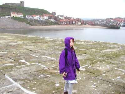 Beaches of Whitby