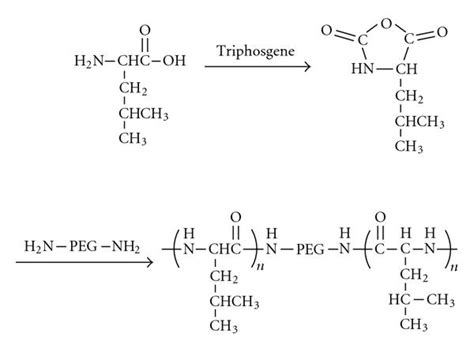 Schematic diagram of monomer synthesis and ring-opening polymerization ...