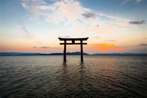 Torii Gate Wallpaper - WoodsLima