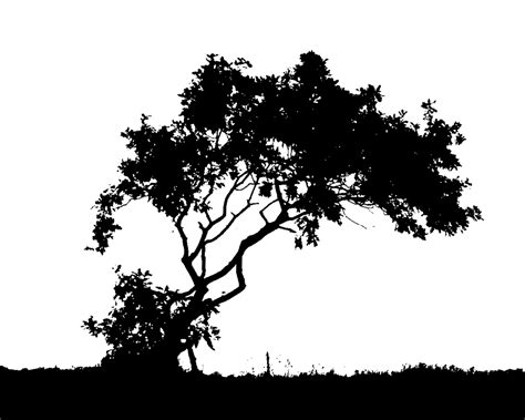 forest Silhouette | Wallpaper Trees Black And White | Printables Forest ...