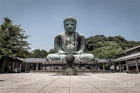 The great Buddha of Kamakura - Viki Pandit