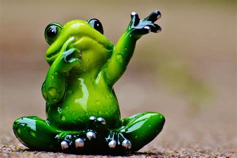 Frog Wave Farewell - Free photo on Pixabay