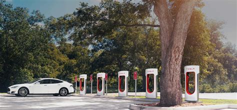 Tesla supercharger | The Equine Practice, Inc