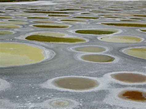 Spotted Lake, Canada | Amusing Planet