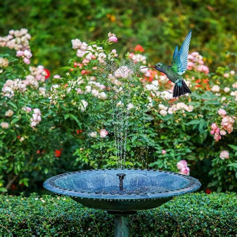 22 Best Bird Bath and Fountain Options for Birds - Birds and Blooms