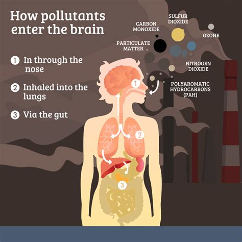 Air pollution: bad for our health, bad for our brains. - SUZANNE GAZDA M.D.