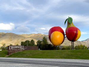 15 Best Things To Do in Cromwell, New Zealand